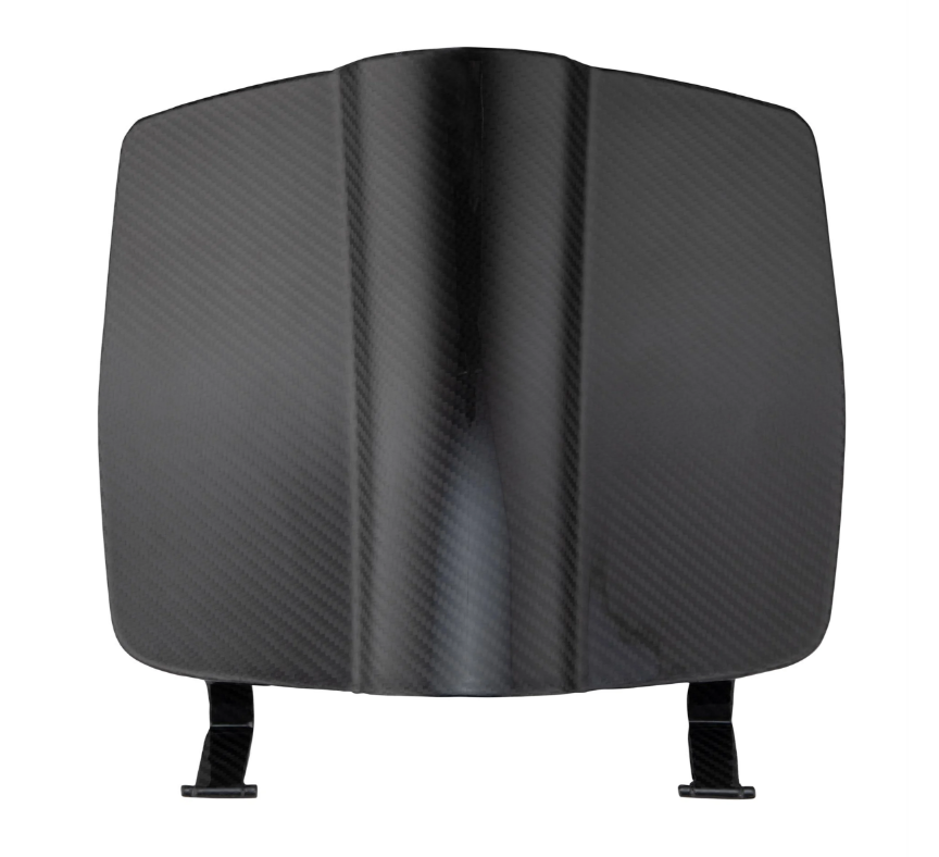 Sportello bagagliaio per Vespa Primavera/​Sprint 50-150ccm, carbonio